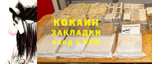 крисы Горняк