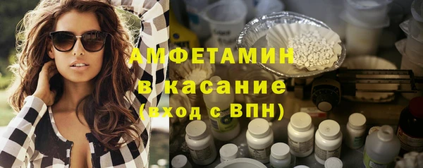 индика Верея