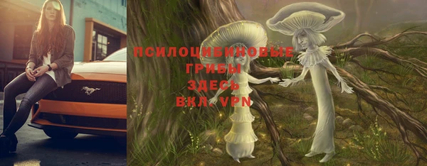 ALPHA PVP Осташков