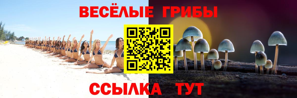 Богородск  Галлюциногенные грибы мицелий  Вход с VPN 